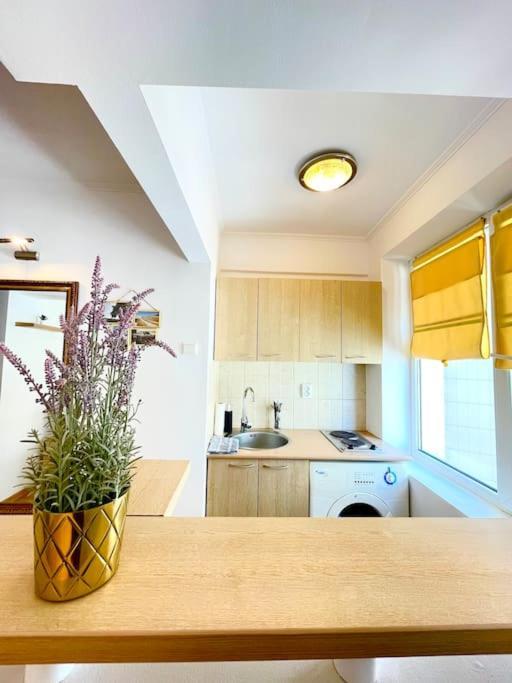 Boutique Apartment In The Bucharest City Center Dış mekan fotoğraf